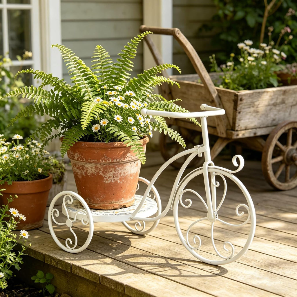Metal Tricycle Plant Stand with Ceramic Tray, Indoor Outdoor Garden Decor