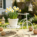 Metal Tricycle Plant Stand with Ceramic Tray, Indoor Outdoor Garden Decor